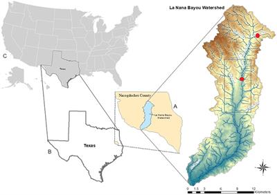 Changes in taxonomic and functional diversity of an urban stream fish assemblage: A 30-year perspective